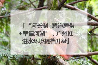 “河长制+碧道碧带+幸福河湖”，广州推进水环境提档升级